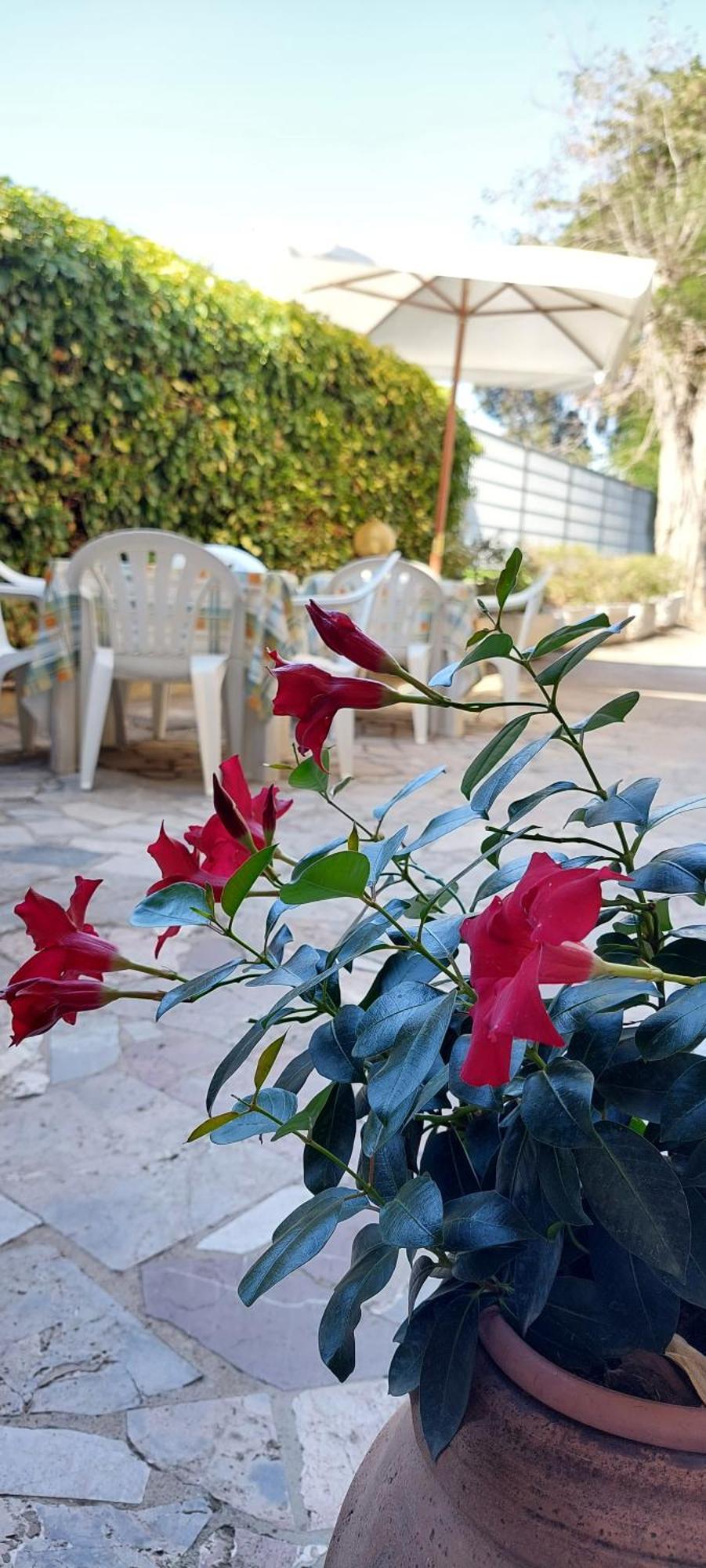Hotel Lea Grosseto Exterior photo